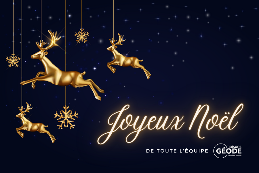 joyeux noel maisons géode